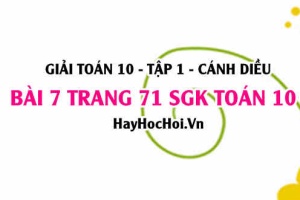 Giải bài 7 trang 71 Toán 10 Tập 1 SGK Cánh Diều